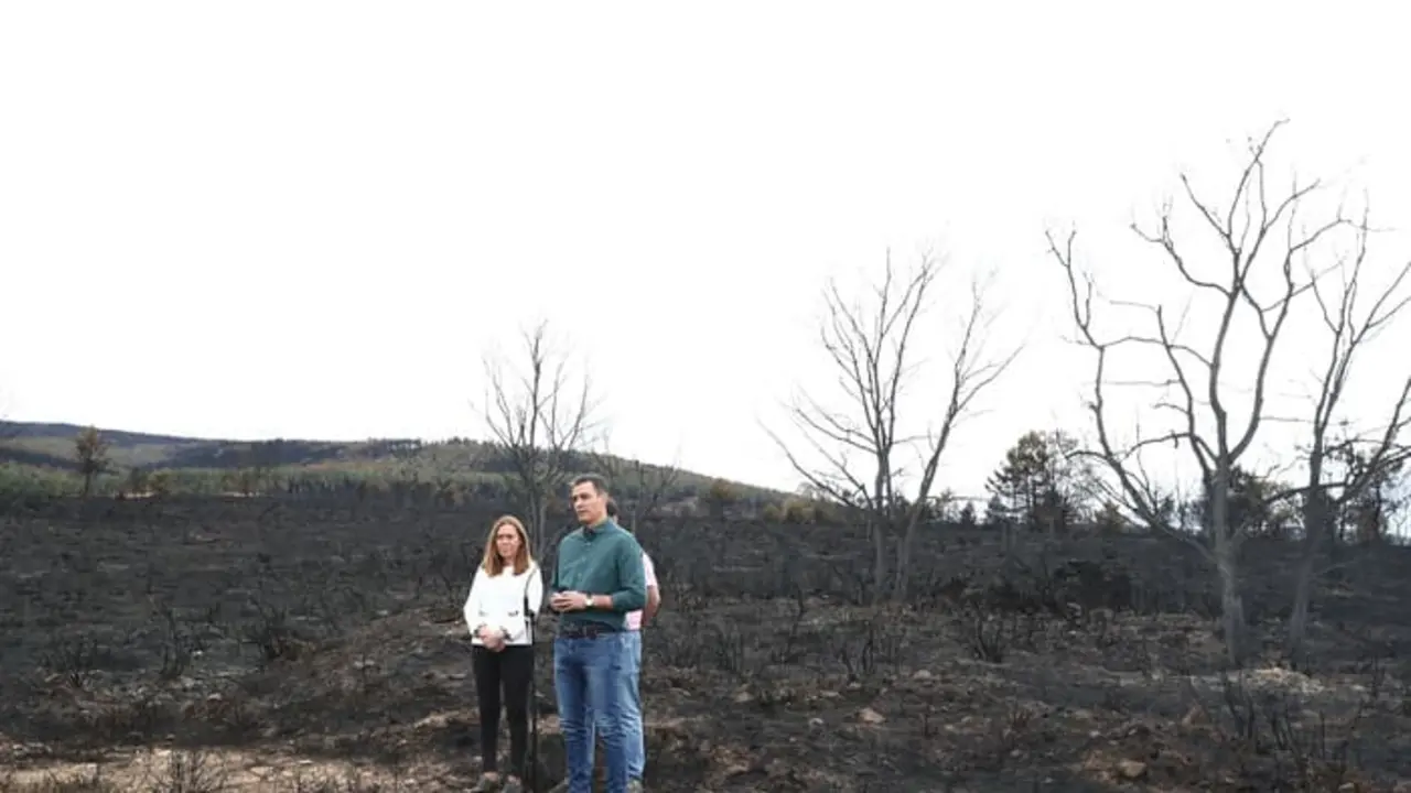 El presidente Sánchez en su visita al fuego de La Sierra de la Culebra en Zamora