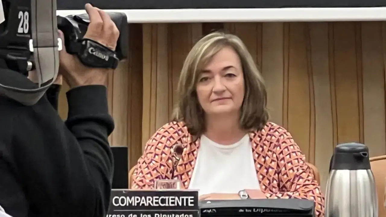 La presidenta de la AiRef, Cristina Herrero, durante su comparecencia. Fuente AiRef