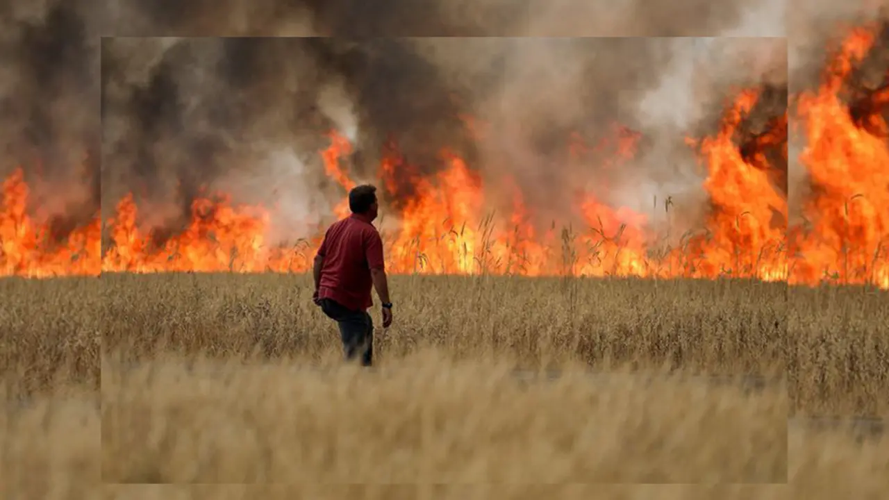Incendio en Tábara
