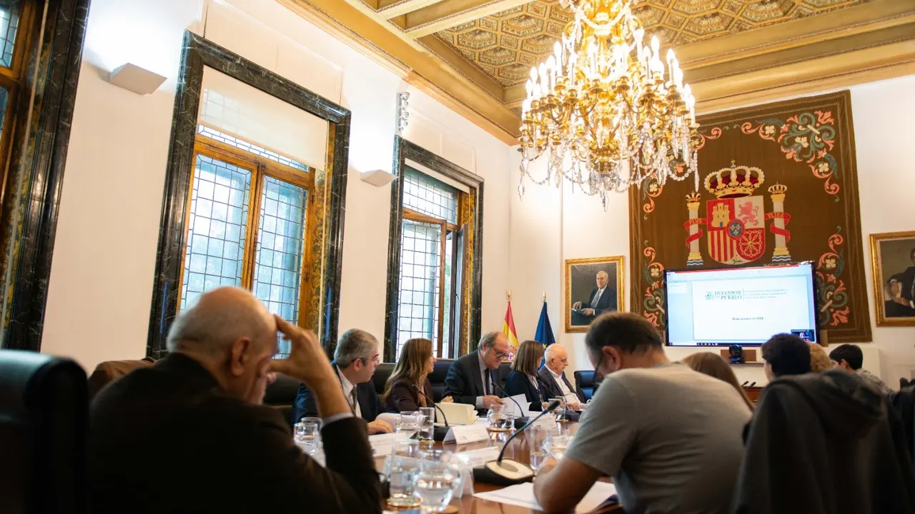Reunión de la Comisión Asesora del Defensor del Pueblo