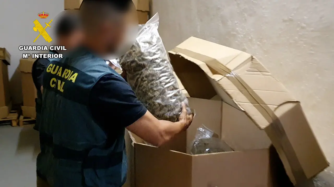 Partes de los cogollos incautados