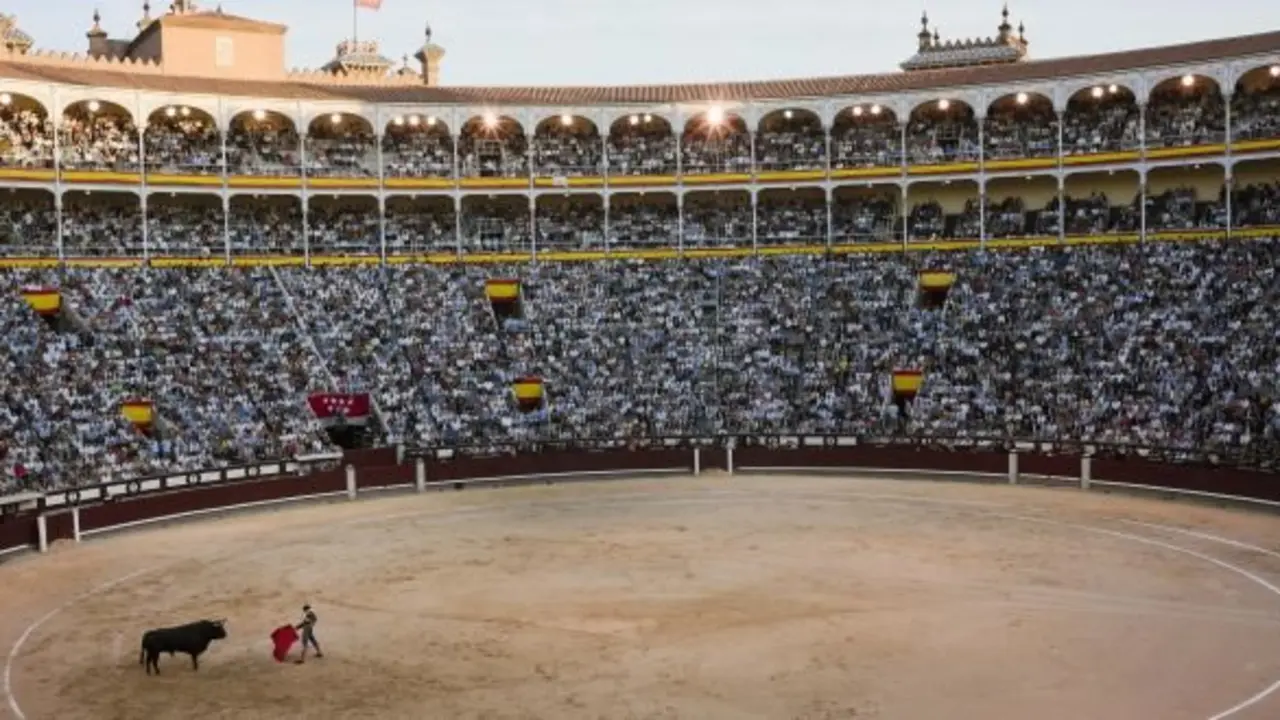 Mexican-born bullfighter Joselito Adame baits a bull during a corrida at Madrid's Las Ventas arena, Friday, May 16, 2014, as part of the celebration for Madrid's patron saint San Isidro. (AP Photo/Domenico Stinellis)