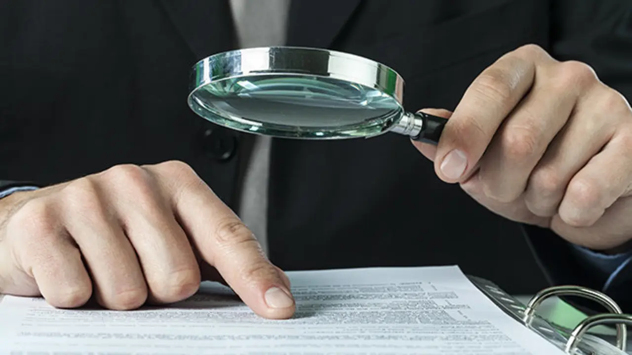 Fraud, audit, auditor.