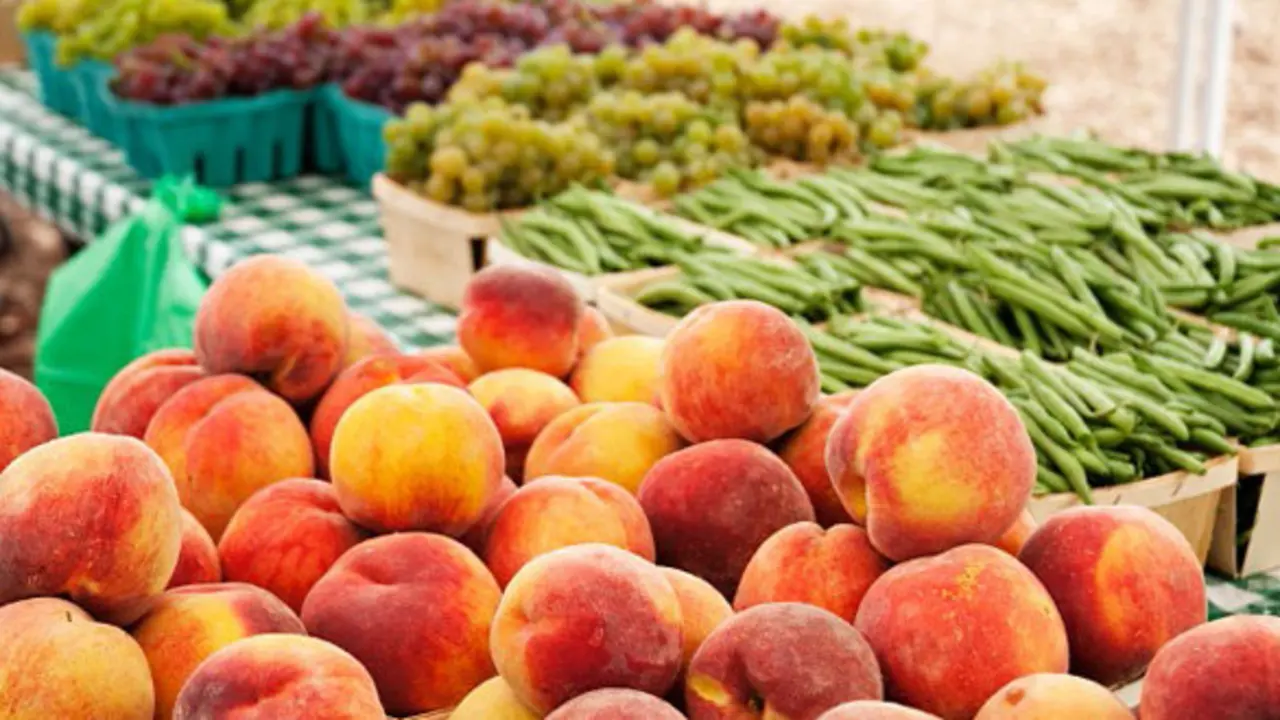 Fresh Peaches at a Farmer's Market 
Abarrotes Abiertos Al aire libre Alimentacion Alimentacin Alimento Alimentos Alubia Alubias Arrangement Arreglo Blurry Bodegon Bodegon de alimentos Bodegon de comestibles Bodegones Bodegones de alimentos Bodegones de comestibles Bodegn Bodegn de alimentos Bodegn de comestibles Borrosa Borrosas Borrosidad Borroso Borrosos Coleccion de alimentos Coleccin de alimentos Comestible Comestibles Comida Cruda Crudas Crudo Crudos Descubiertos Desenfocado Durazno En exterior Foco Foodcollection Fresca Frescas Fresco Frescos Frijoles Fruta Fruta con hueso Frutas Fruto Fuera Haba Habas Hortalizas Imprecisas Impreciso Imprecisos Ingrediente Ingredientes Judia Judias Juda Judas Legumbre Legumbre seca Legumbres Legumbres secas Leguminosa Leguminosae Libres Melocoton Melocotones Melocotn Mercadillo semanal Mercadillos semanales Mercado Mercado semanal Mercados Mercados semanales Naturaleza muerta Naturaleza muerta de alimentos Naturaleza muerta de comestibles Naturalezas muertas de alimentos Naturalezas muertas de comestibles Nuevo Nuevos Outdoor Poco claras Poco claro Poco claros Poco nitidas Poco nitido Poco nitidos Poco ntidas Poco ntido Poco ntidos Poroto Porotos Producto alimenticio Puesto Puesto de mercado Puesto de venta Puestos de mercado Puestos de venta Recien Recin Royalty Free Seleccion Seleccin Sin cocer Surtido Tienda de mercado Tiendas de mercado Toma exterior Tomas exteriores Uva Uvas Variedad Venta Ventas Verduras Vitis Vitis vinifera