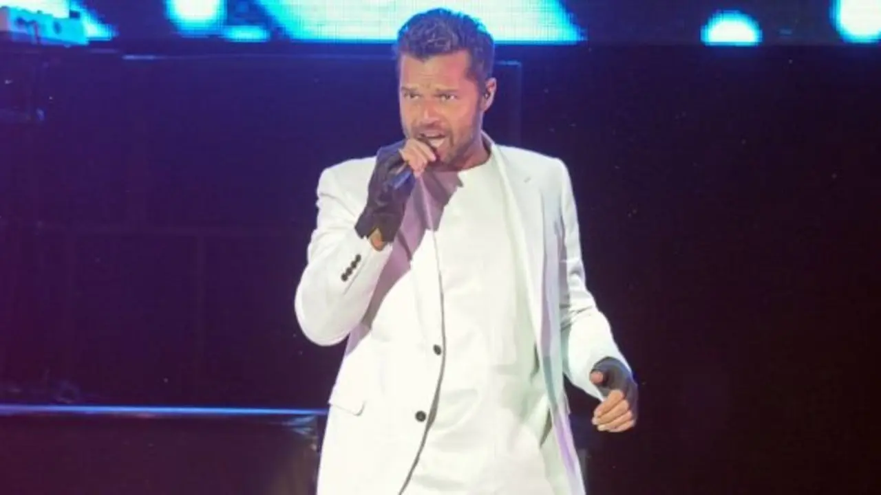 Singer Ricky Martin during a concert in Marbella
Friday 25 July 2014
Marbella
