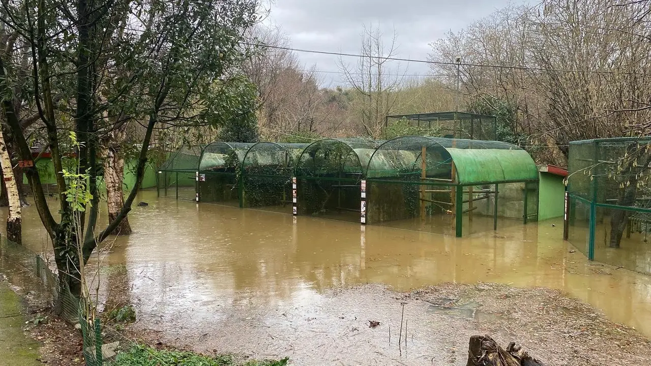 Zoo de Santillana