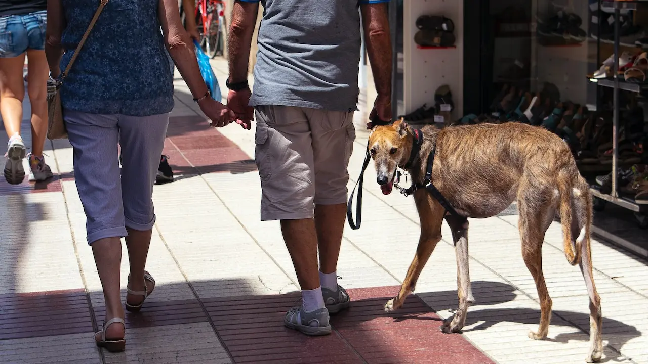 Foto de Antonio Lorenzana Bermejo: https://www.pexels.com/es-es/foto/ciudad-hombre-gente-mujer-14283405/