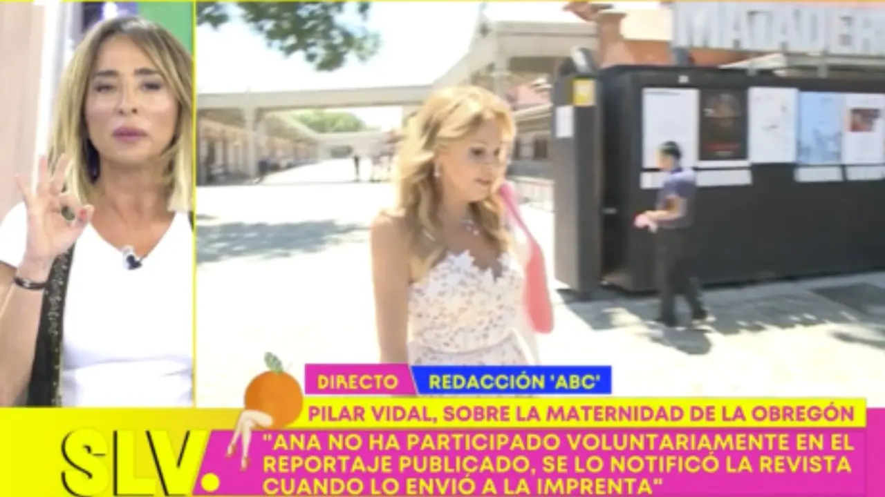 La colaboradora ha revelado los tres legados que Aless Lequio pidió a Ana Obregón antes de morir - Telecinco (Mediaset)