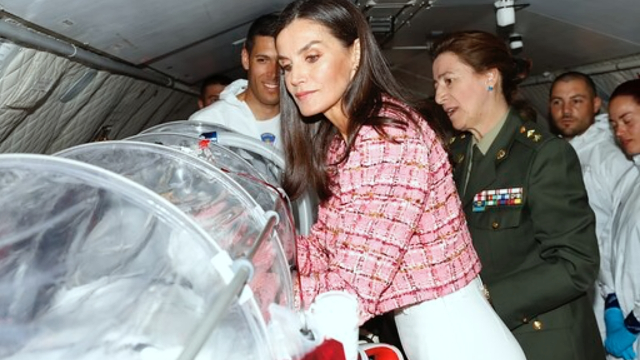 La reina Letizia estrena una chaqueta de 390 euros en un acto oficial en Madrid / Casa Real