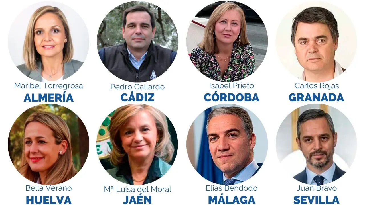 Fuente: PP
