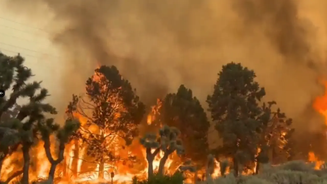 Incendios en Hawái / Redes Sociales