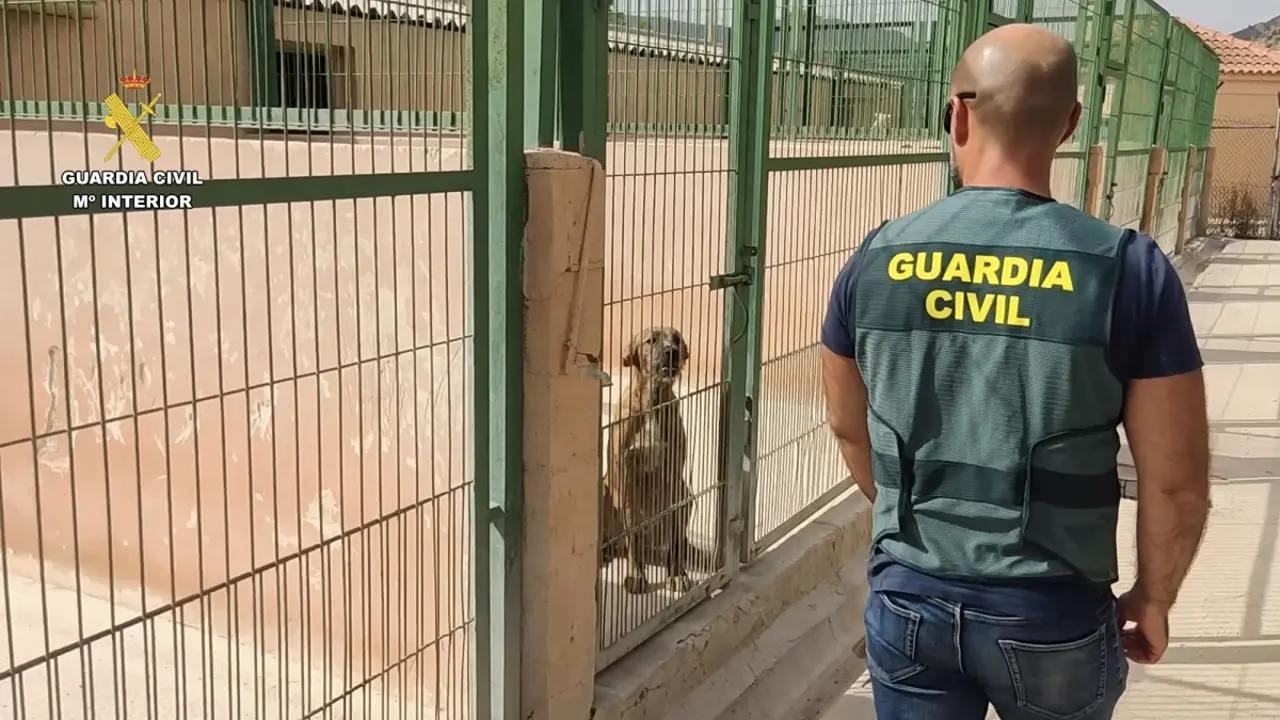 Imagen / Guardia Civil