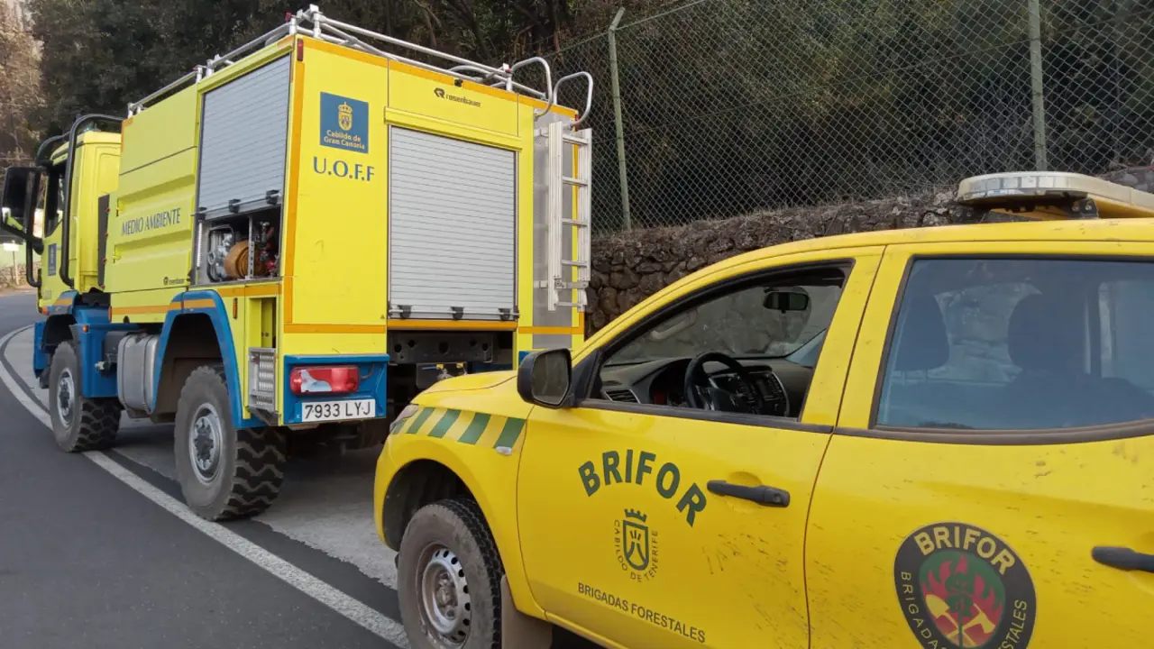 BRIFOR