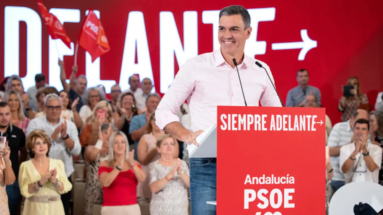 Pedro Sánchez / PSOE