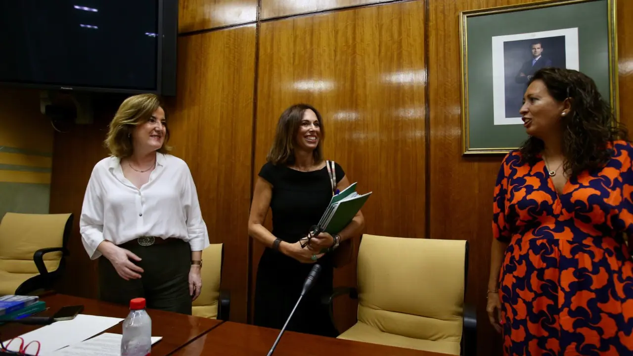Foto: PP Andalucía