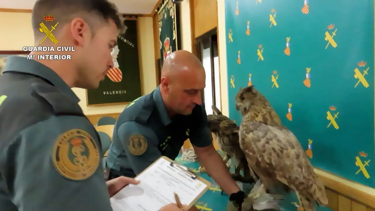 Guardia Civil