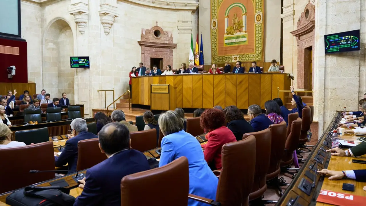 Foto: Parlamento de Andalucía