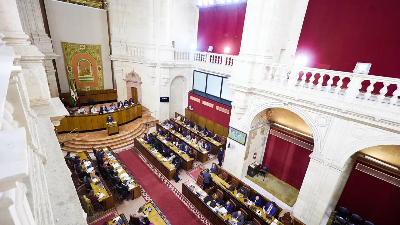 Foto: Parlamento de Andalucía