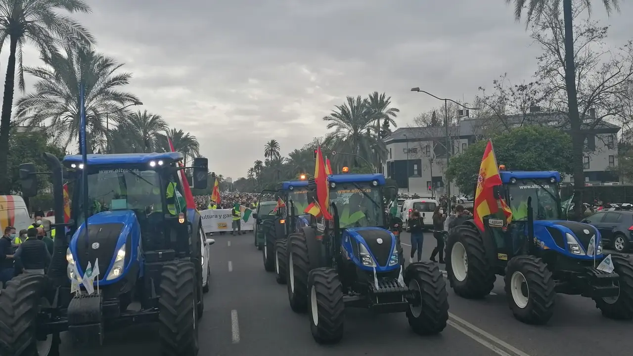 Imagen / Cooperativas Agro-alimentarias de Andalucía