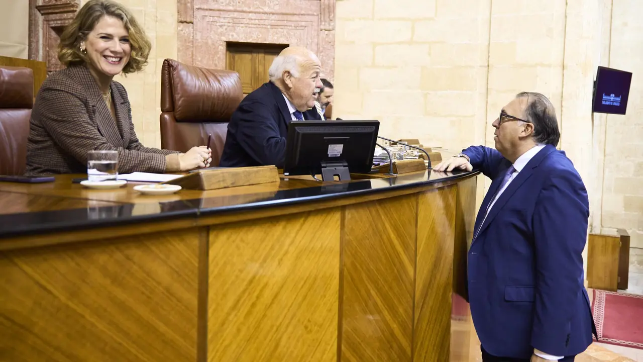 Foto: Parlamento de Andalucía