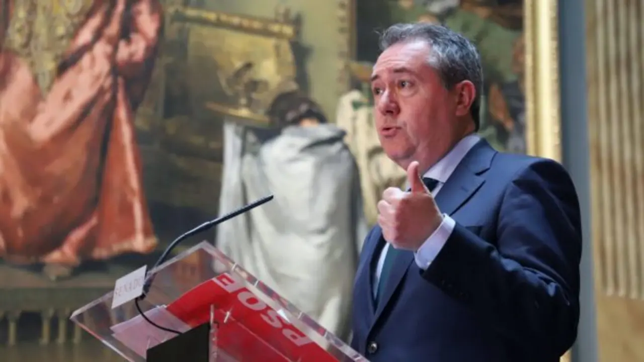 Juan Espadas en el Senado | Fuente: PSOE