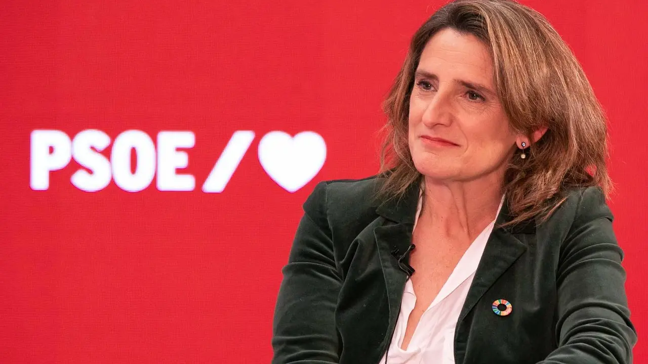 Teresa Ribera | Fuente: PSOE