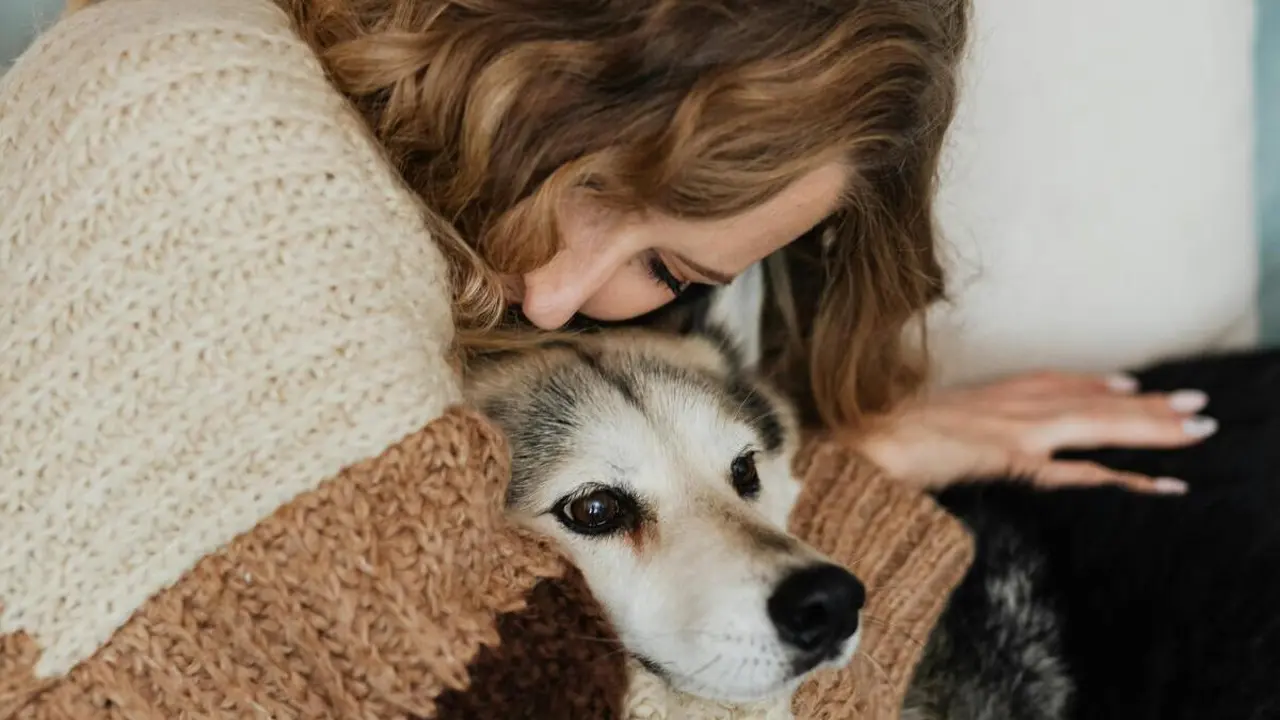Mujer abrazando a su perro | Fuente: Pexels