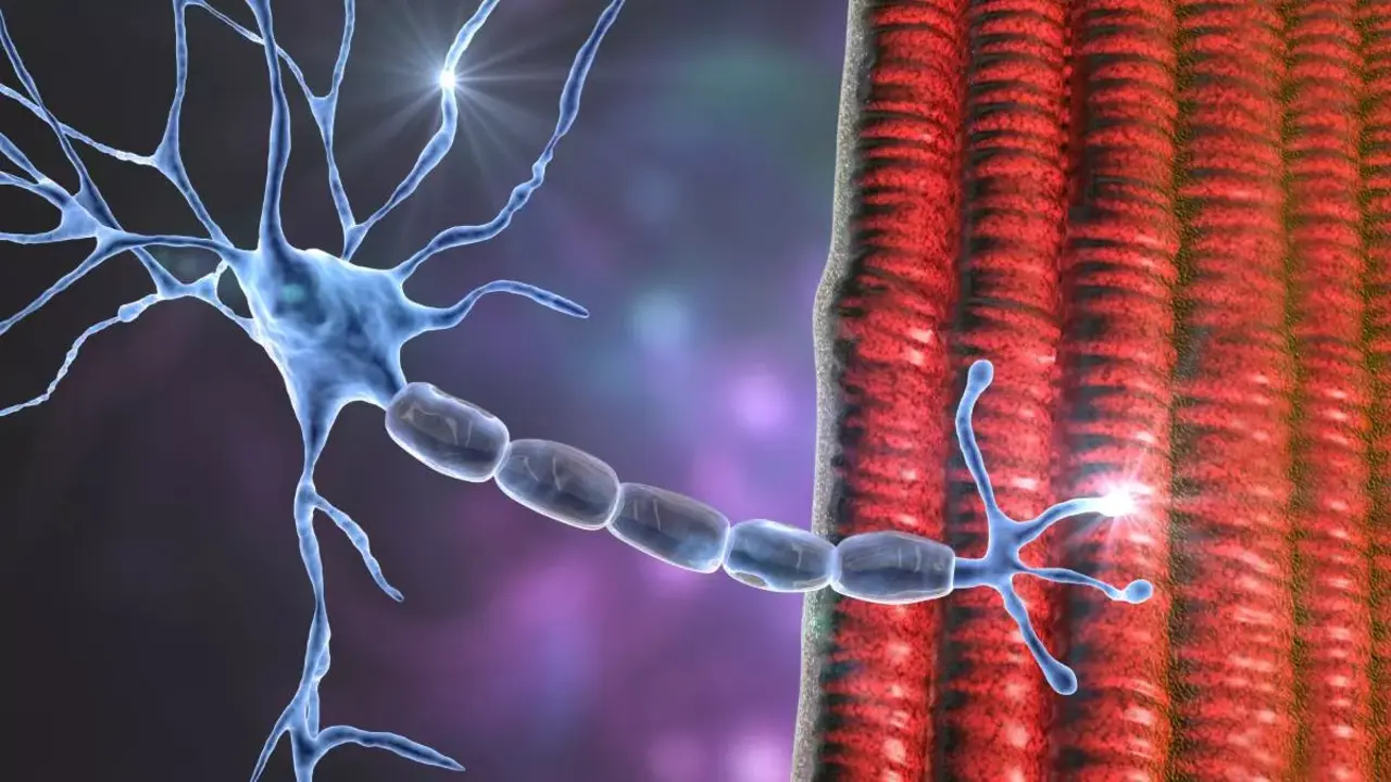 Conexiones neuronales | Fuente: Shutterstock