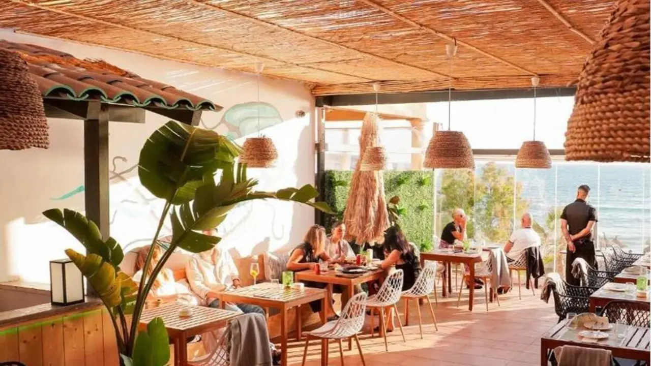 Terraza del Medusa Beach | Fuente: Medusa Beach
