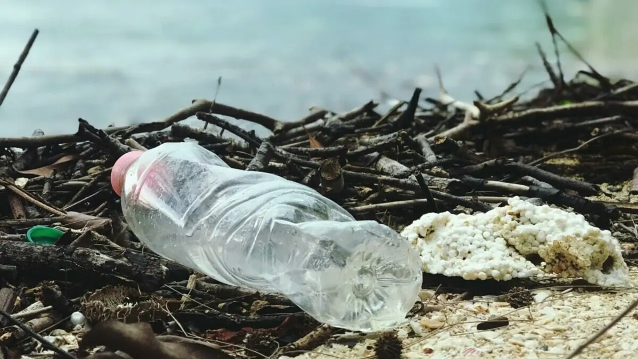 Contaminación por plásticos | Fuente: Pexels