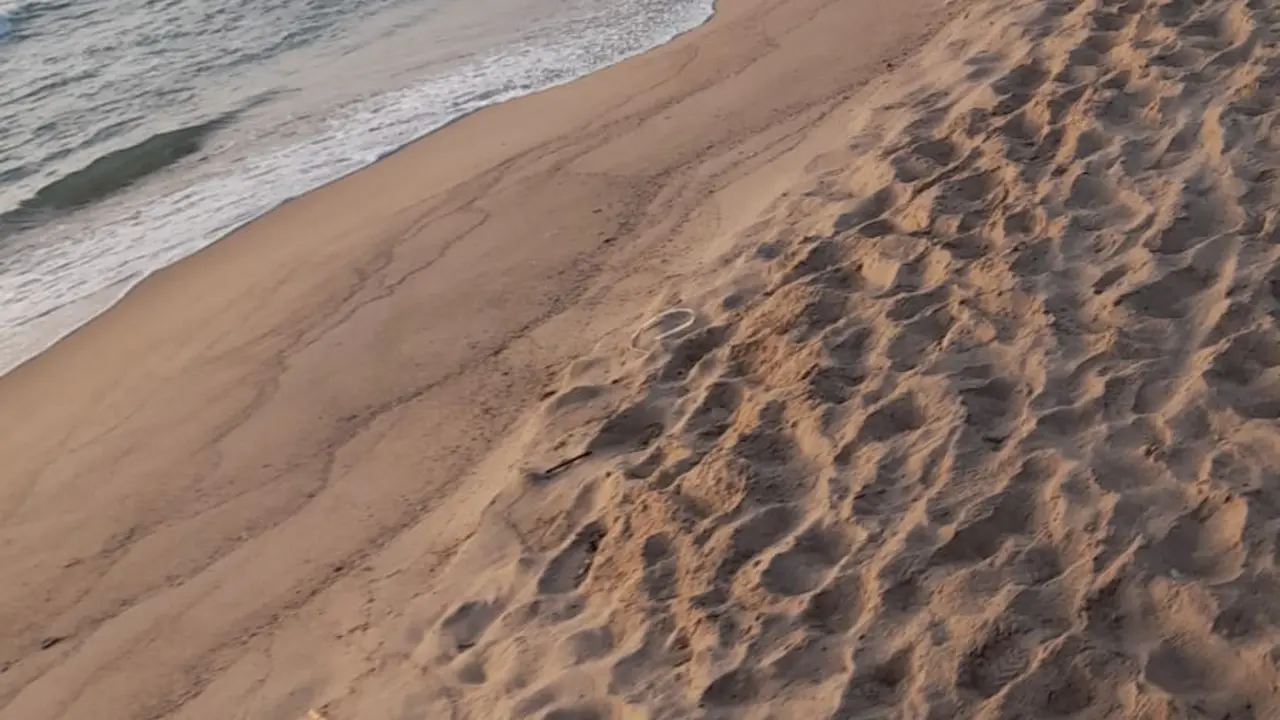 La playa limpia del vertido. Fuente: Ayuntamiento de Valencia