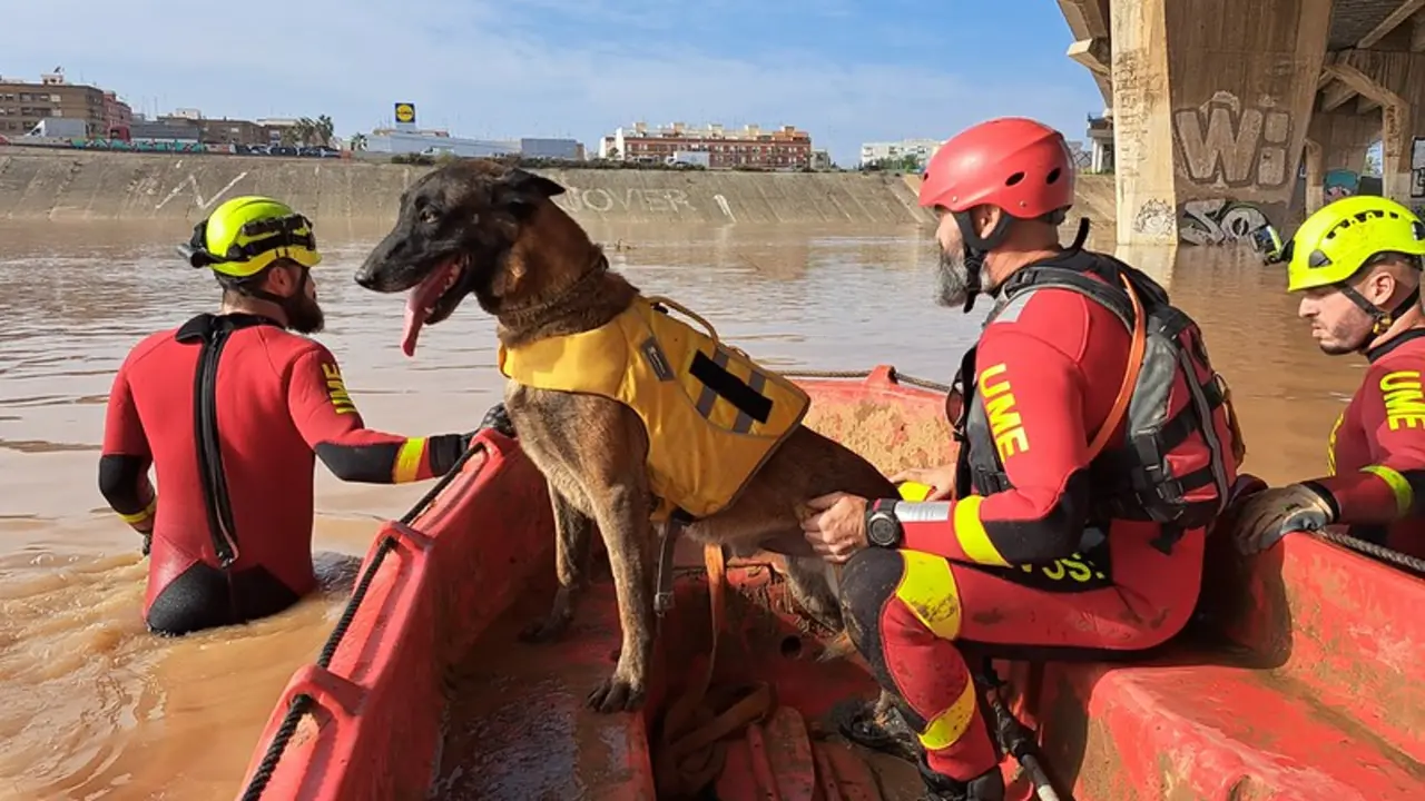 Imagen: Unidad Militar de Emergencias (UME)