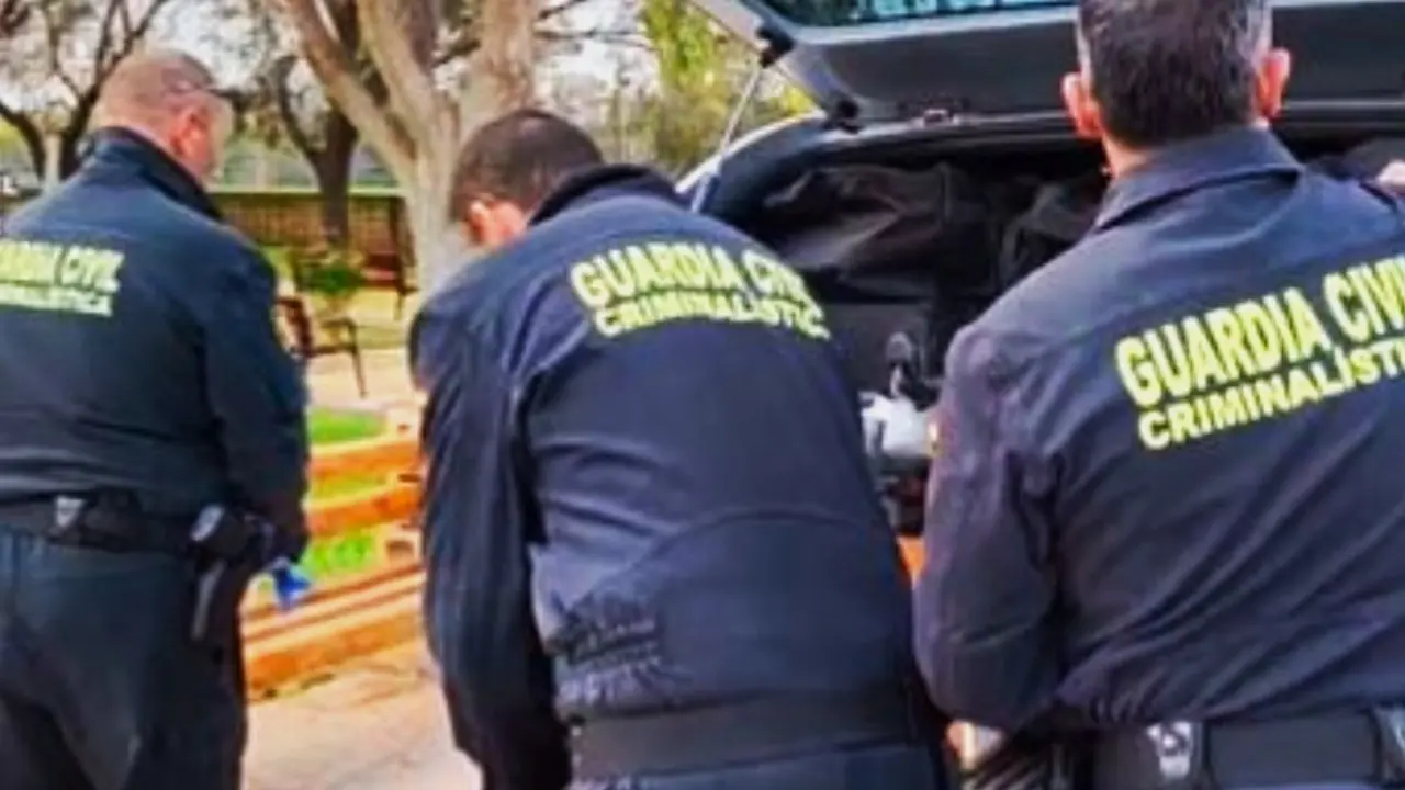 La investigación la está llevando a cabo el Servicio de Criminalística de la Guardia Civil, encargado de prestar los servicios propios de la ciencia forense.