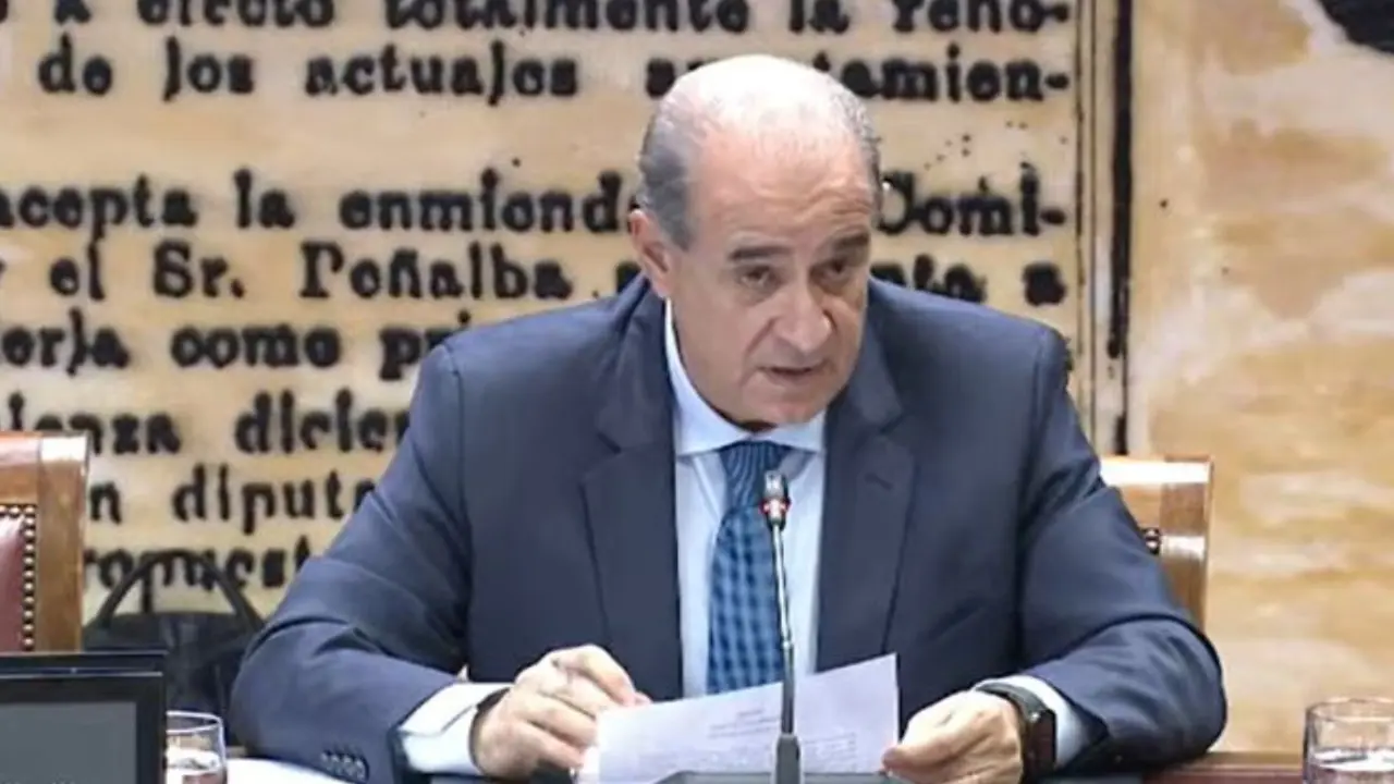 Francisco Pardo, director general de la Policía, durante su comparecencia en el Senado.