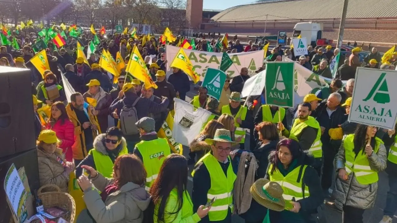 Los manifestantes consideran que el acuerdo entre la UE y Mercosur puede producir una competencia desleal. (Foto: Asaja).