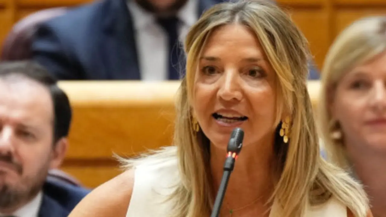 Alicia García durante una comparecencia en el Senado. (Foto: PP).
