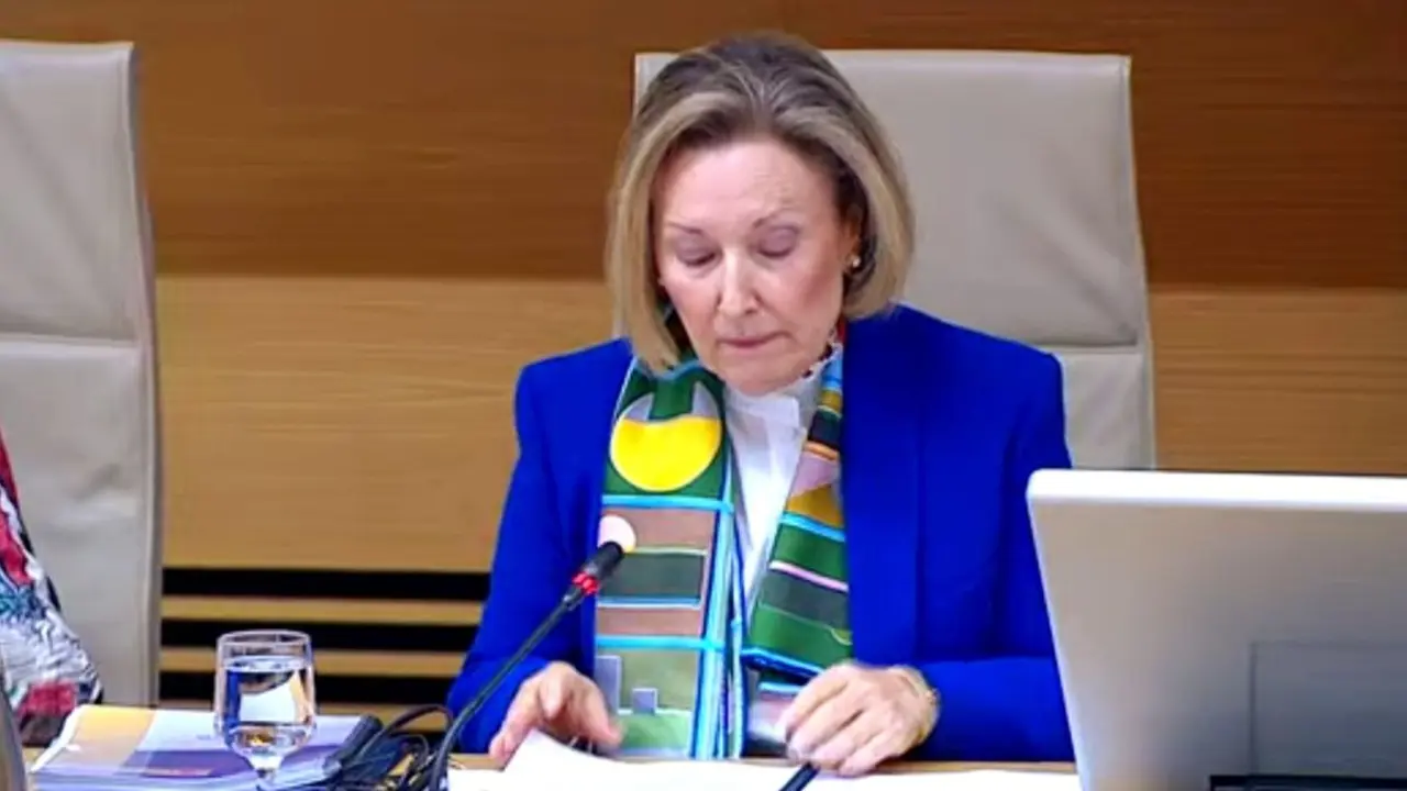 La secretaria de Estado de Defensa, Amparo Valcarce, durante su comparecencia en sede parlamentaria.