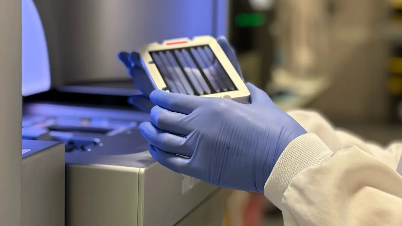 Foto: Ministerio de Ciencia, Innovación y Universidades