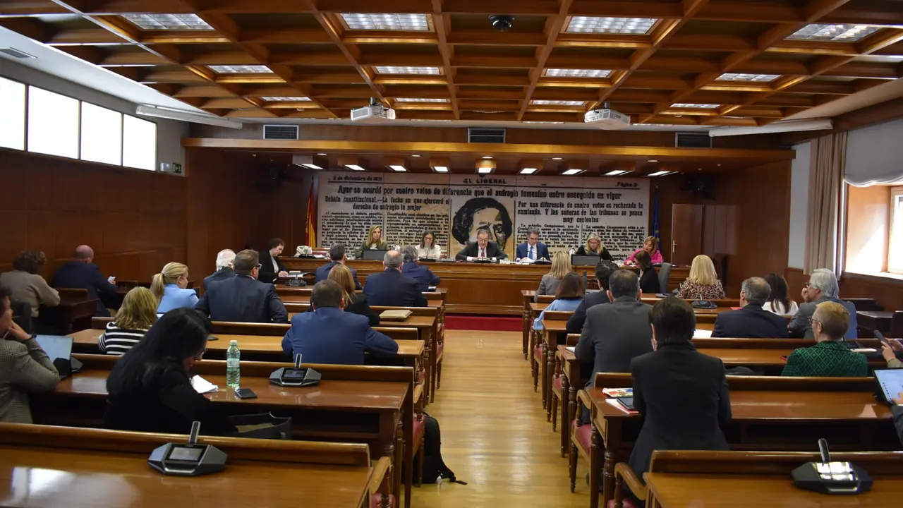 Sesión de la comisión de investigación de la DANA en el Senado. Imagen de la página web del Senado. 