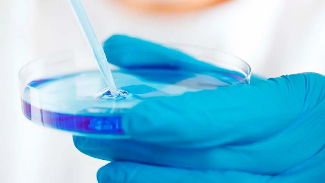 Lariocidina Microbiología /foto pixabay
