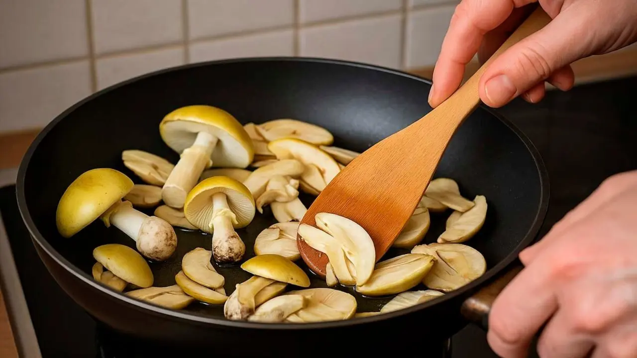 Cocinando setas