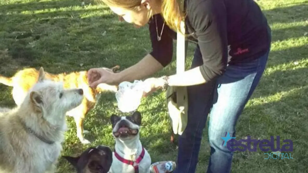 Madrid cuenta con una normativa específica que regula cómo y dónde se puede pasear a los perros