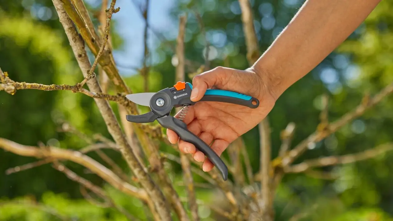 La tijera de Jardín PremiumCut para ramas secas de GARDENA