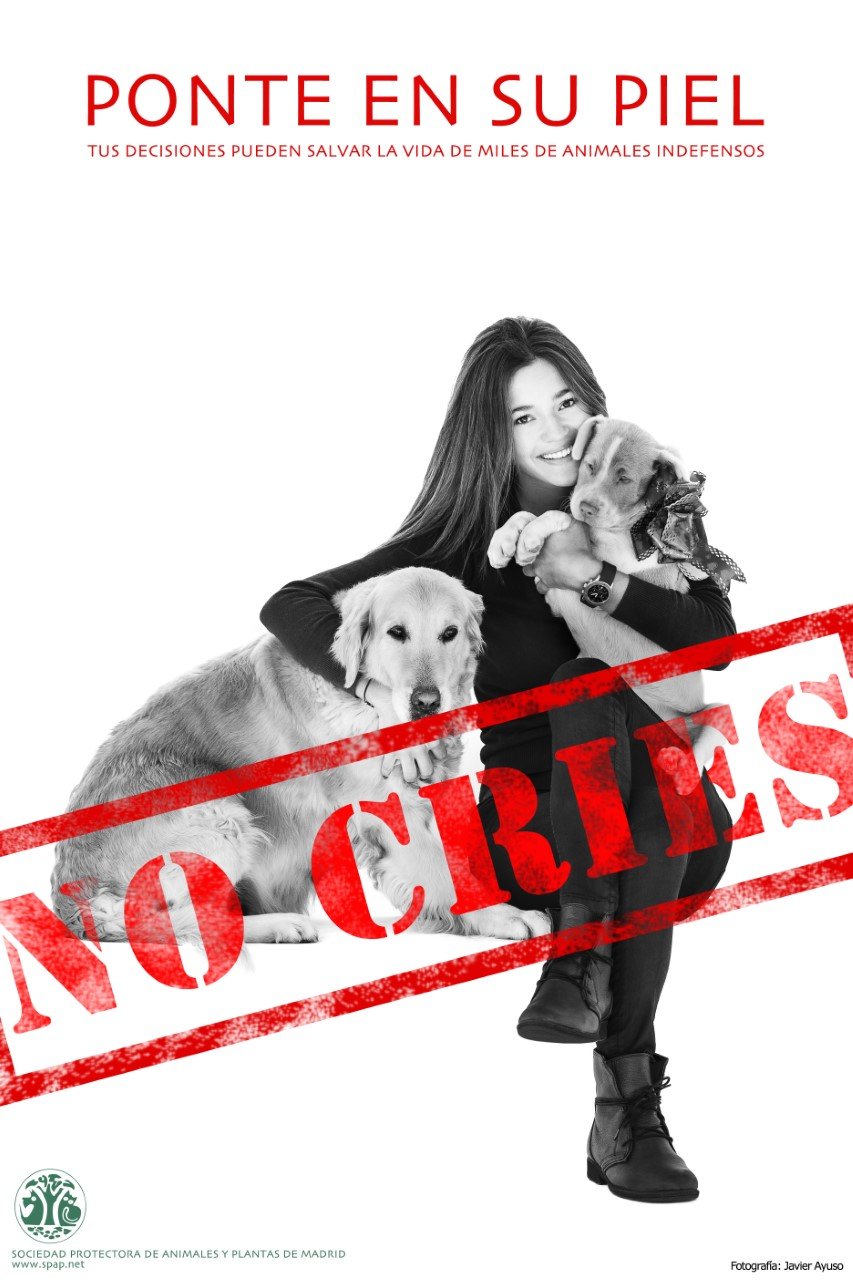 Campaña no cries