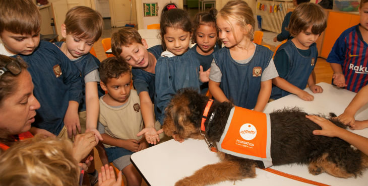 Perros el primer día de colegio 2