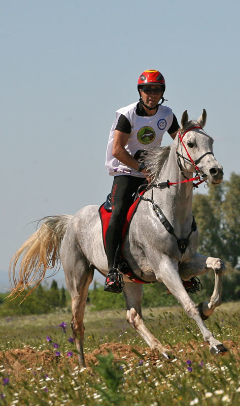 Álex Luque