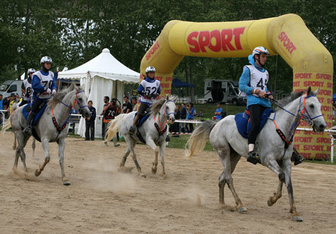 CEI2** Bàscara 2015