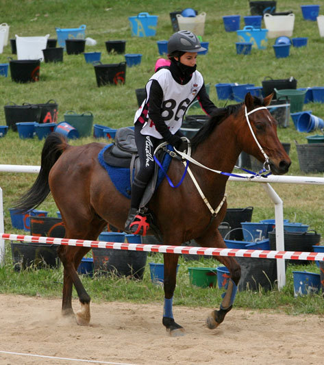 CEI1* Bàscara 2015