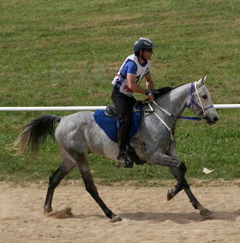 Álex Luque