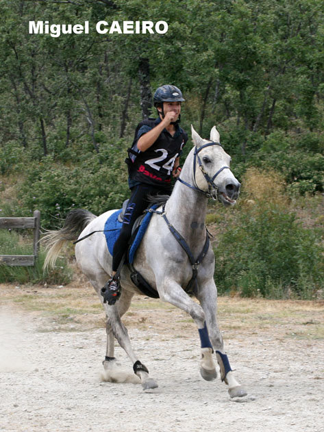MCaeiro9769